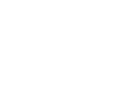 PALADINUS